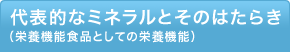 代表的なミネラルとそのはたらき（栄養機能食品としての栄養機能）