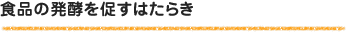 食品の発酵を促すはたらき